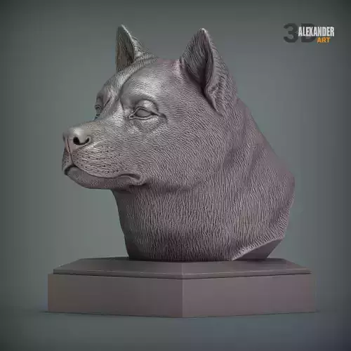 American Akita bust