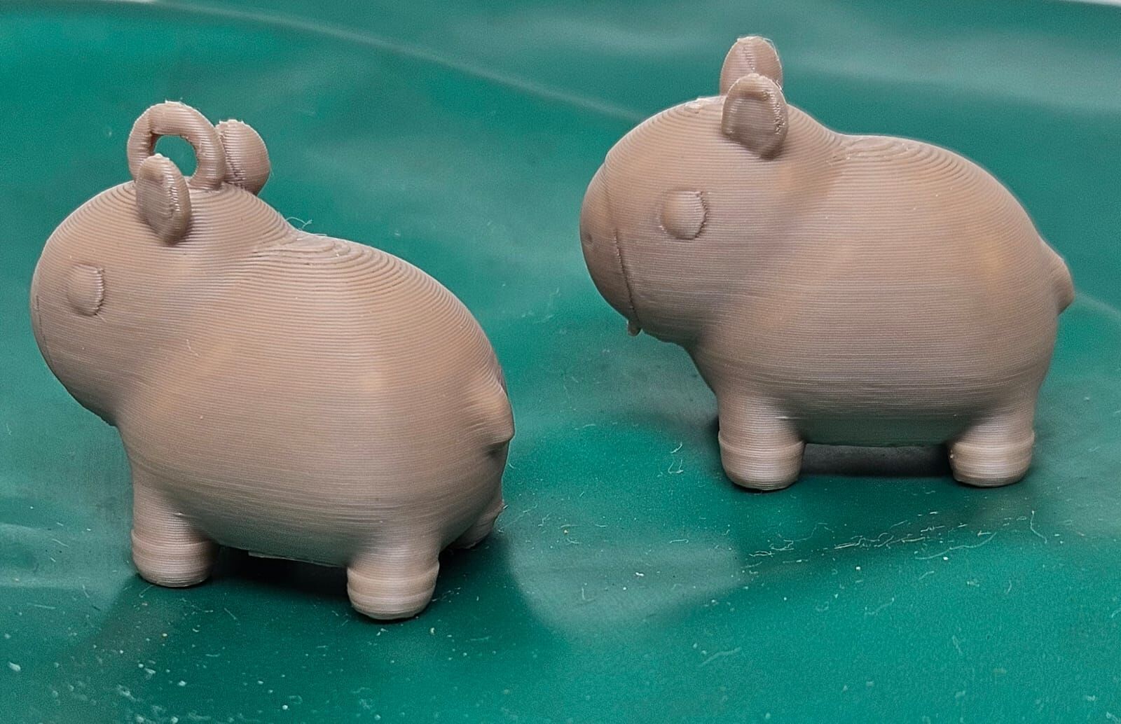 Cute Little Capybara 3D print model_11
