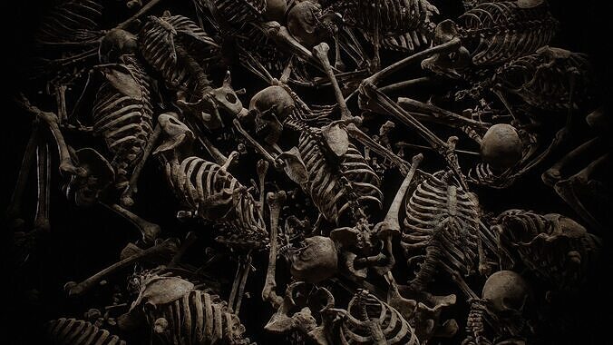 Skeleton remains collection 01 Low-poly 3D model