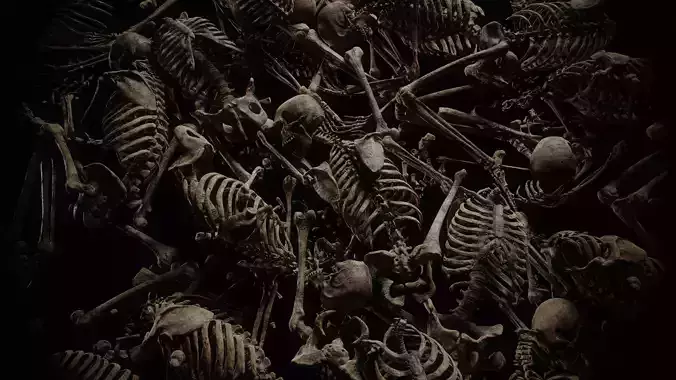 Skeleton remains collection 01