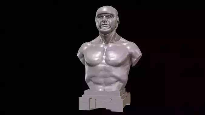 KickBoxer Bust for 3D Print