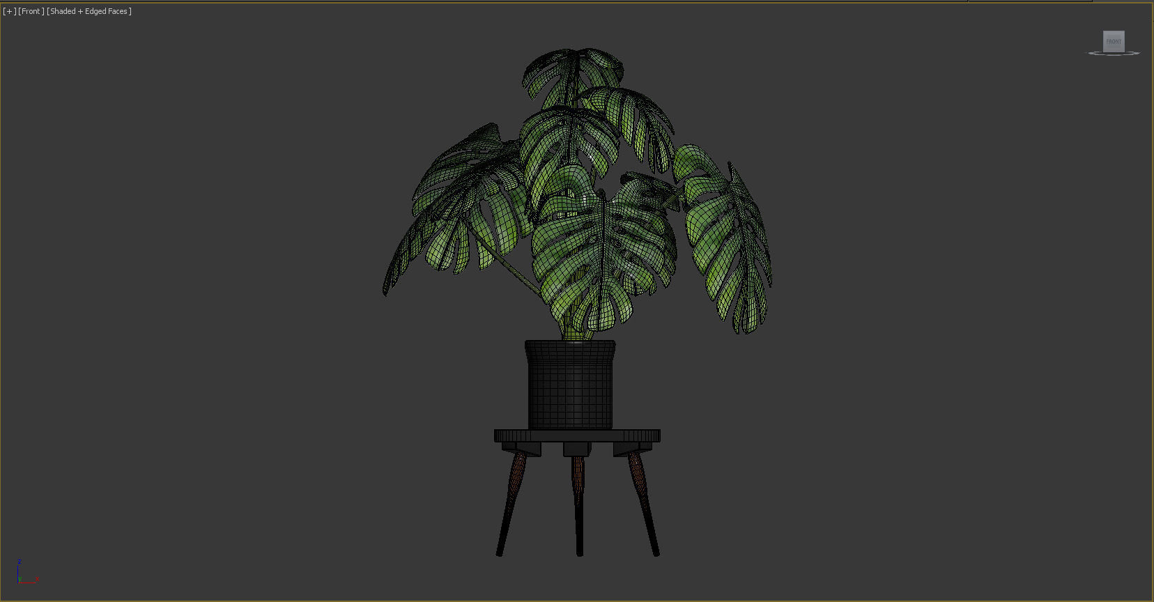 plant Swiss Cheese Plant 3D model_6