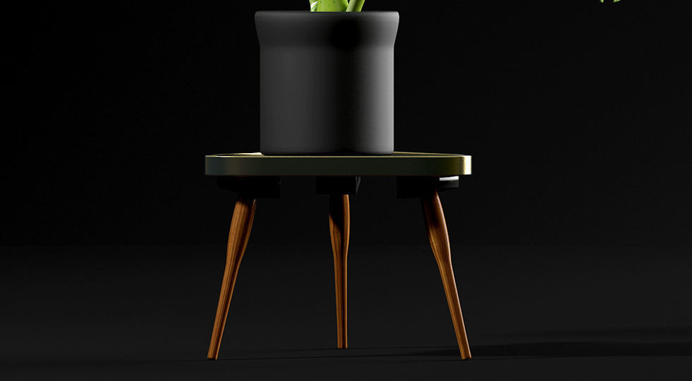 plant Swiss Cheese Plant 3D model_3