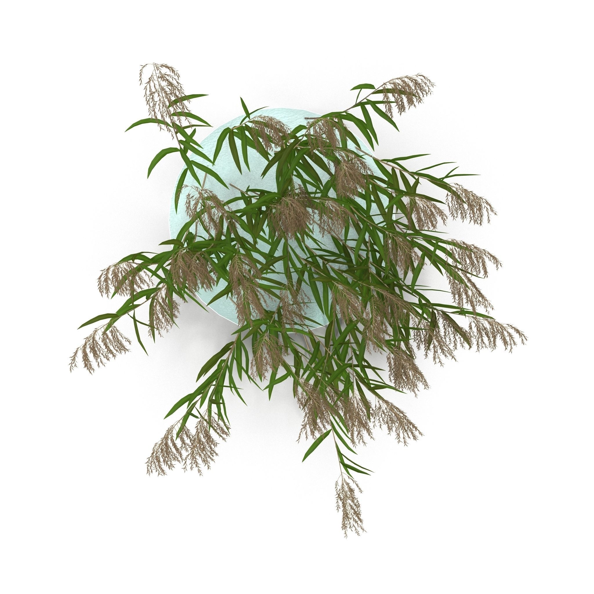 Reeds in water 3D model_5