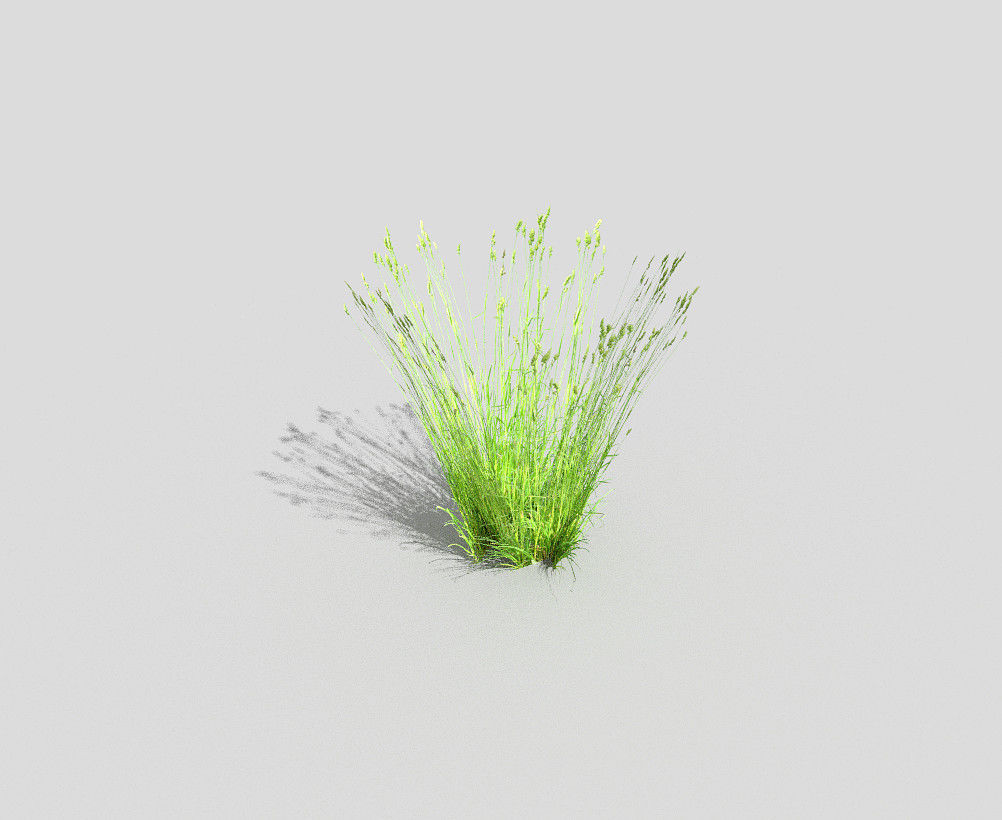 low poly grass Low-poly 3D model_1