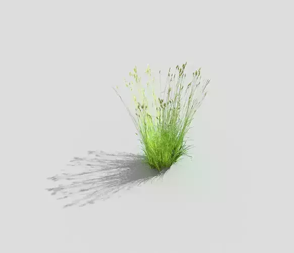 low poly grass Low-poly 3D model