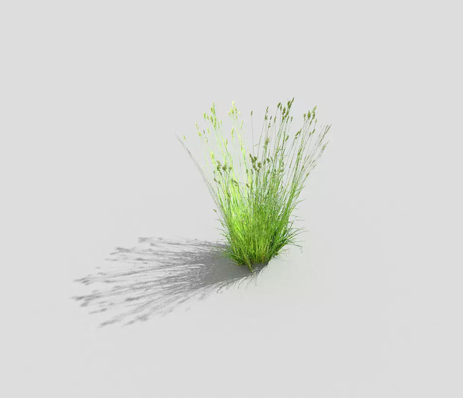 low poly grass Low-poly 3D model_0