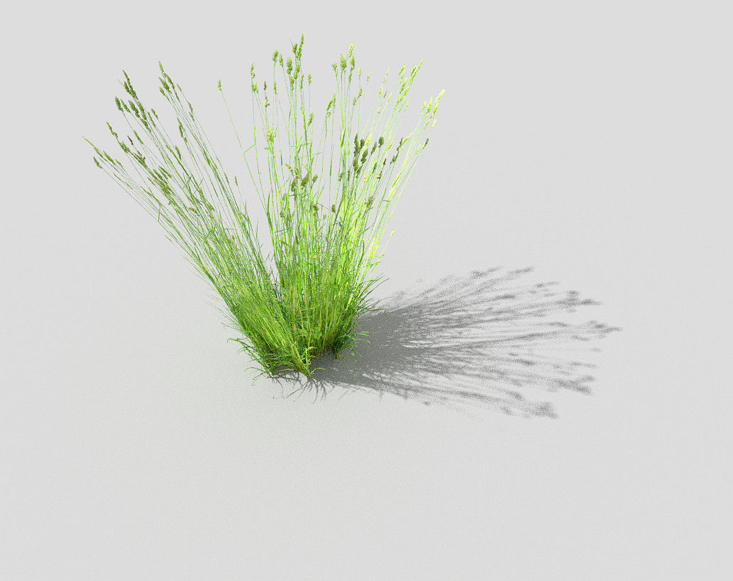 low poly grass Low-poly 3D model_4
