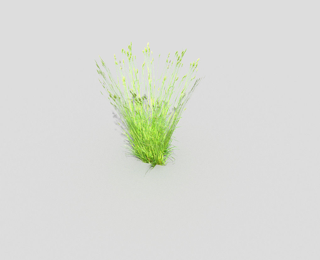 low poly grass Low-poly 3D model_2