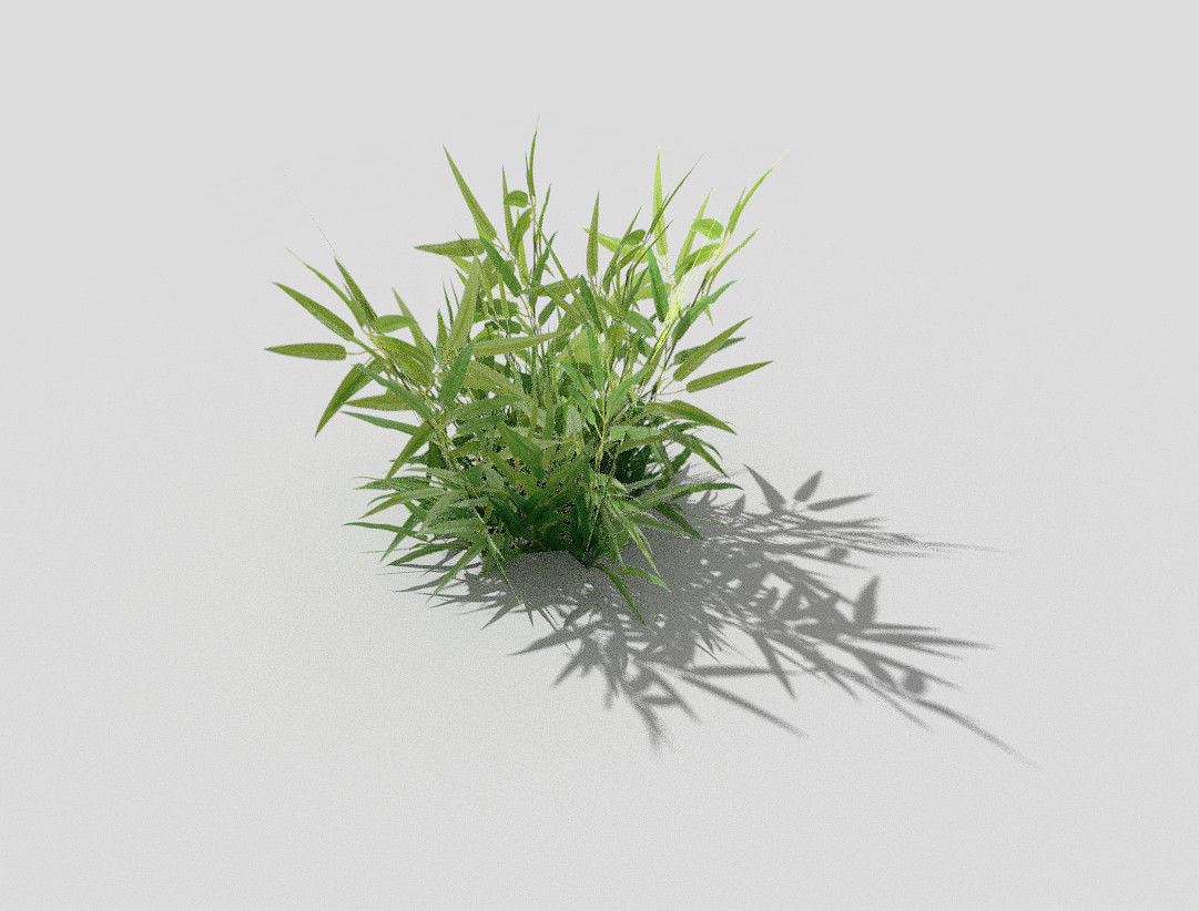 low poly grass bamboo plant Low-poly 3D model_3