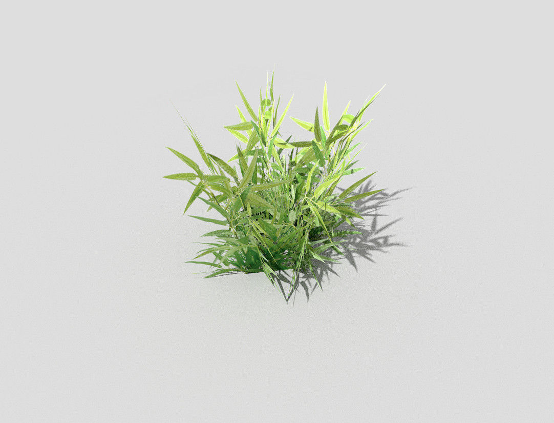 low poly grass bamboo plant Low-poly 3D model_2
