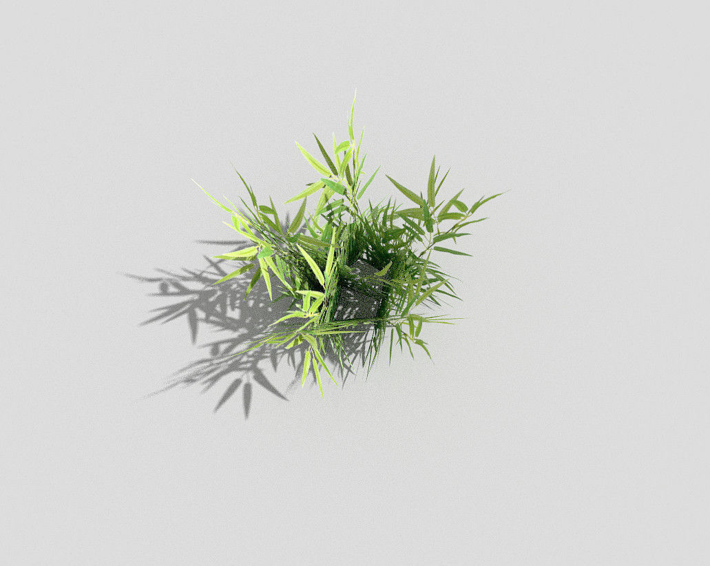 low poly grass bamboo plant Low-poly 3D model_1