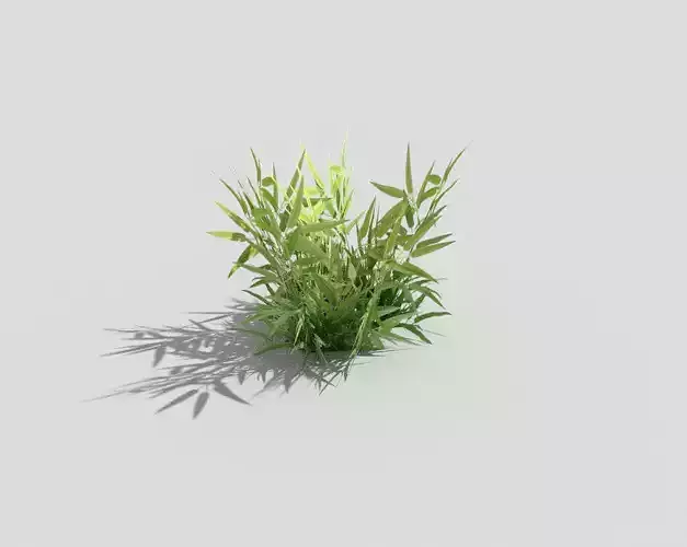 low poly grass bamboo plant Low-poly 3D model