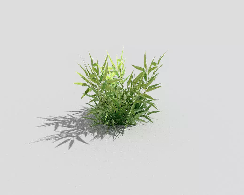 low poly grass bamboo plant Low-poly 3D model_0