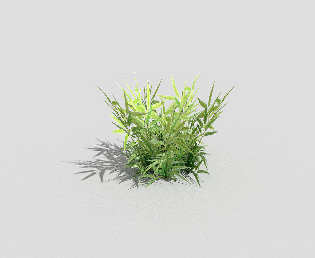 low poly grass bamboo plant Low-poly 3D model_4