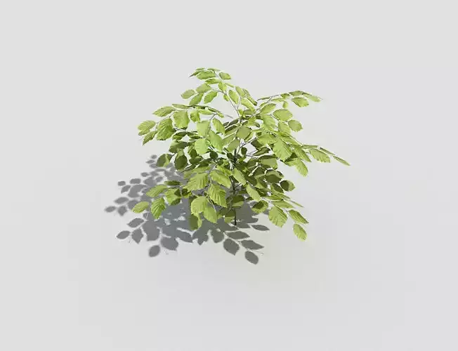 Low poly Plant