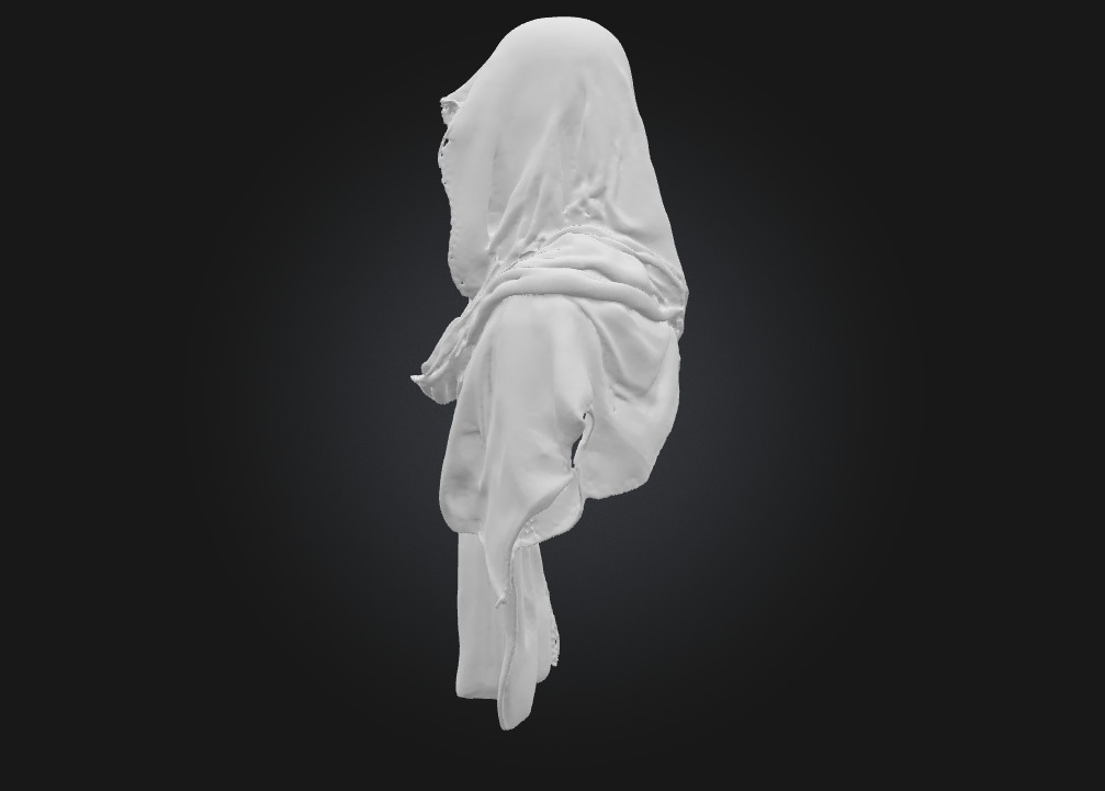 Hooded Enigma  The Shadow of Secrets 3D model_7