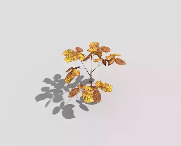 Low poly Plant autumn leaves
