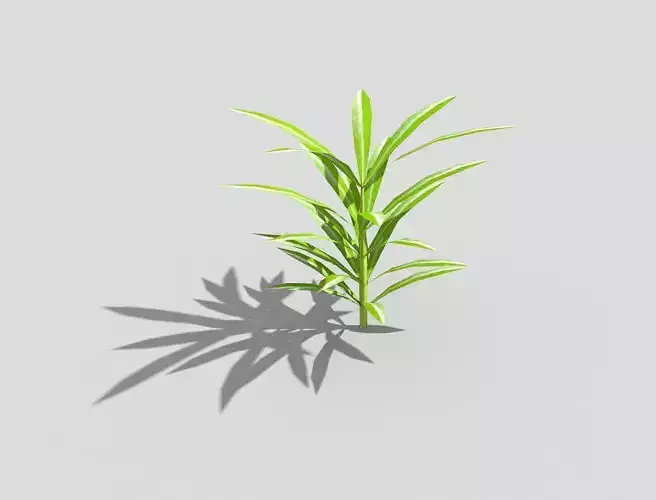 Low poly Plant