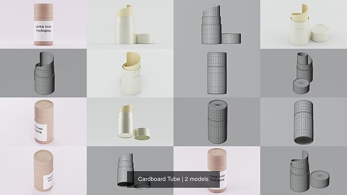 Cardboard Tube 3D Model Collection