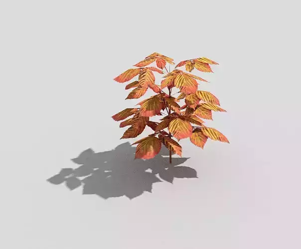 Low poly Plant autumn leaves
