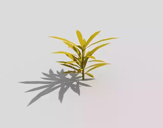 Low poly Plant Low-poly 3D model