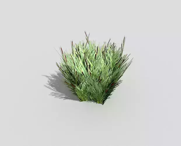 Low poly Plant grass