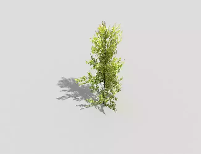 low poly tree