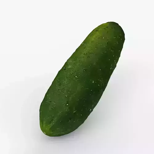 Photorealistic 3D scan of cucumber - Fresh Whole Vegetable