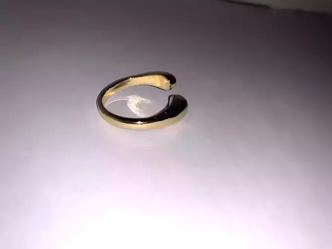 Dual purpose jewelry 3D model  ring and necklace Pendant