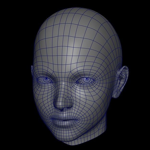 Female Head Base Mesh Low-poly 3D model