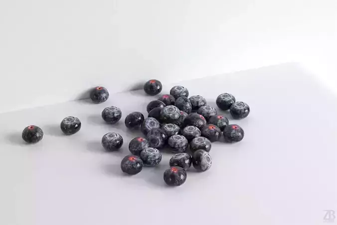 Blueberry 3D model
