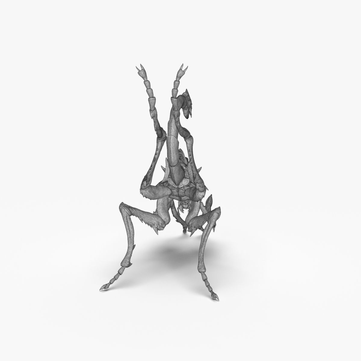 Fantasy Insect for 3d print 3D print model_21
