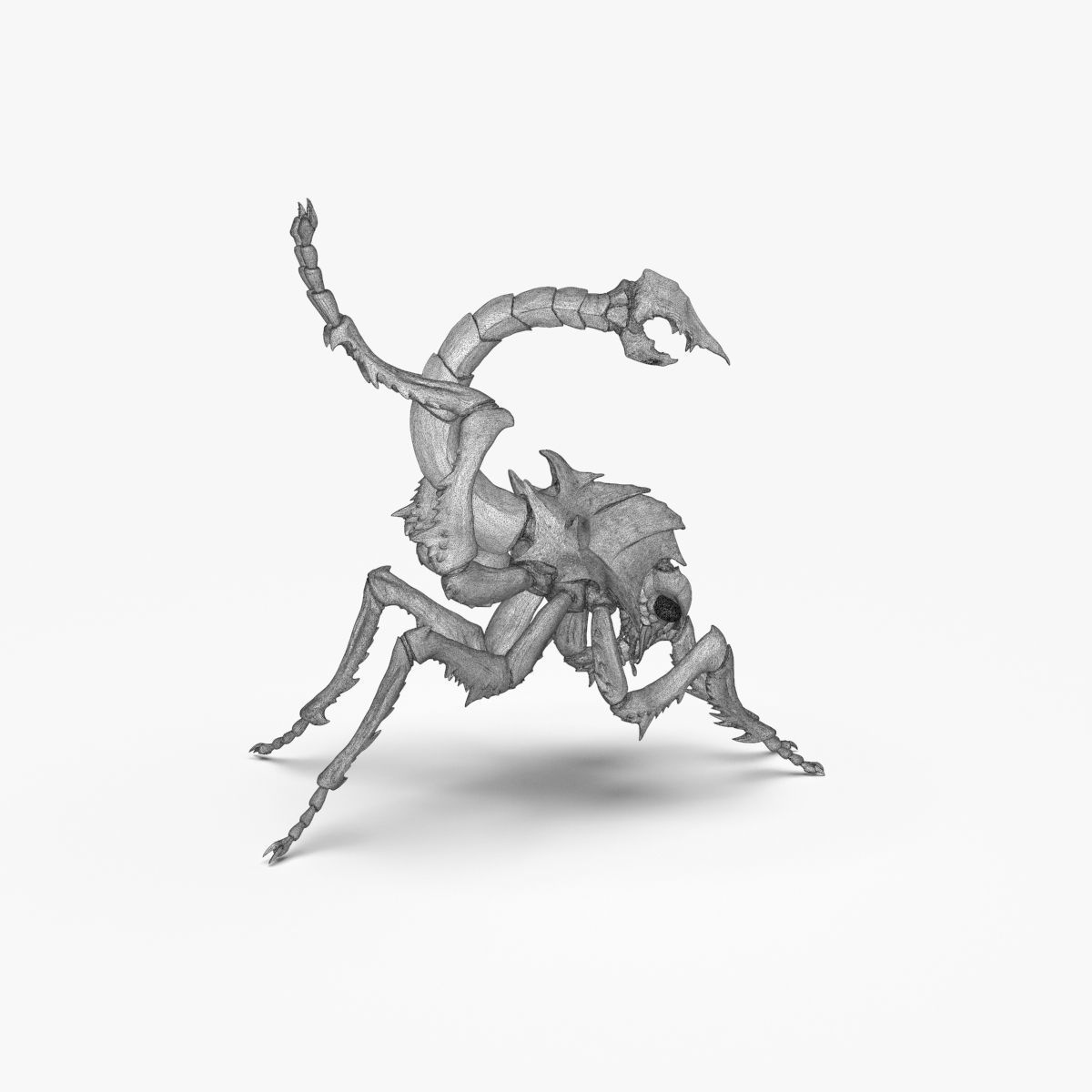 Fantasy Insect for 3d print 3D print model_23