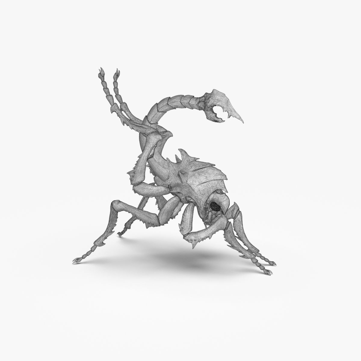 Fantasy Insect for 3d print 3D print model_24