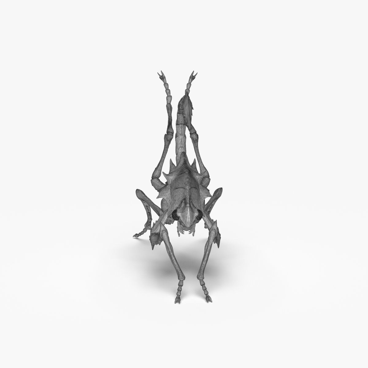 Fantasy Insect for 3d print 3D print model_15