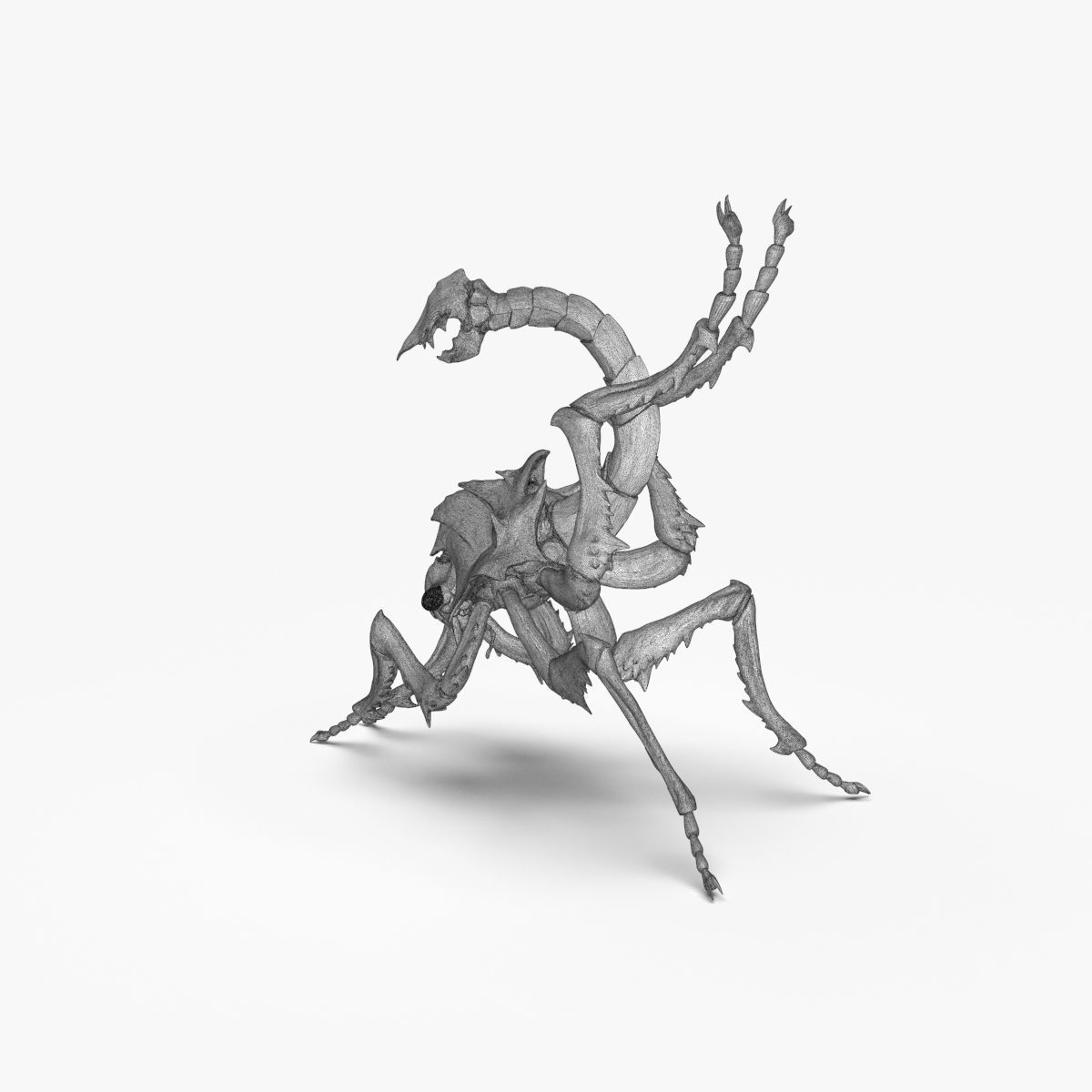 Fantasy Insect for 3d print 3D print model_19