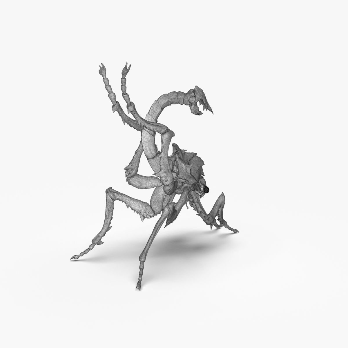 Fantasy Insect for 3d print 3D print model_22
