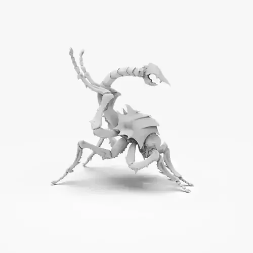 Fantasy Insect for 3d print 3D print model