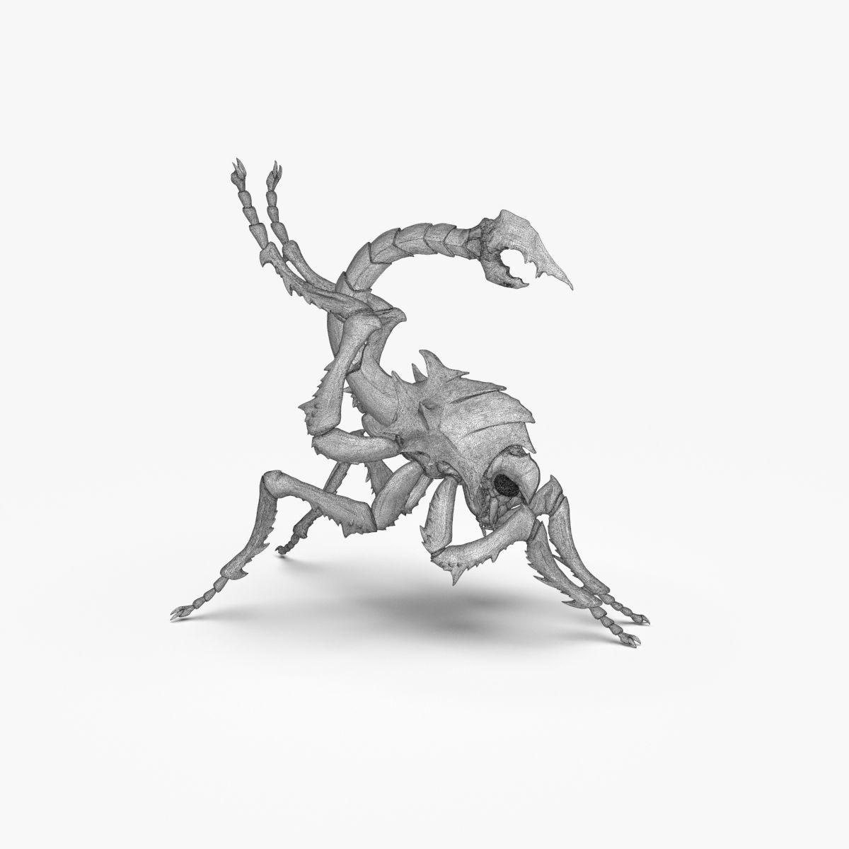 Fantasy Insect for 3d print 3D print model_13