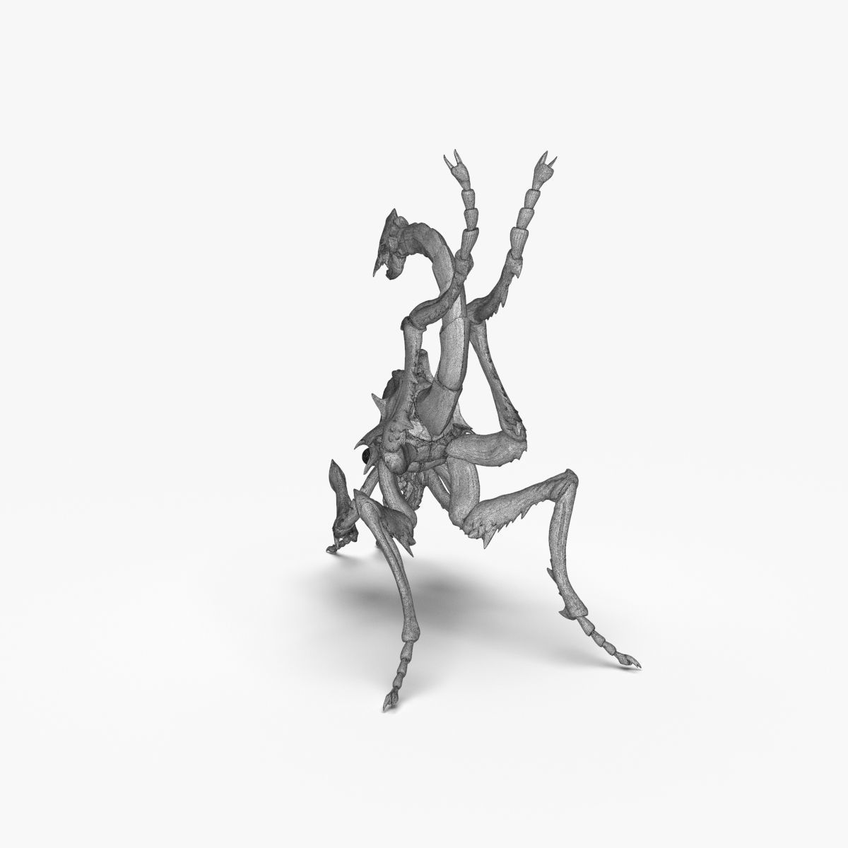 Fantasy Insect for 3d print 3D print model_20