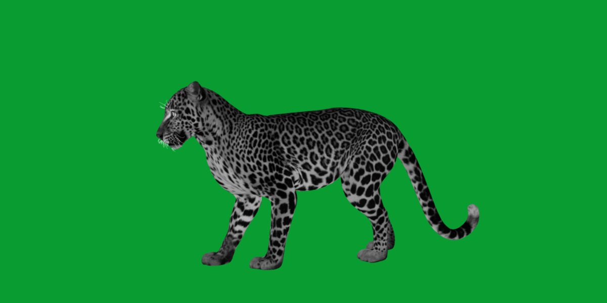 African  Leopard Low-poly 3D model_32