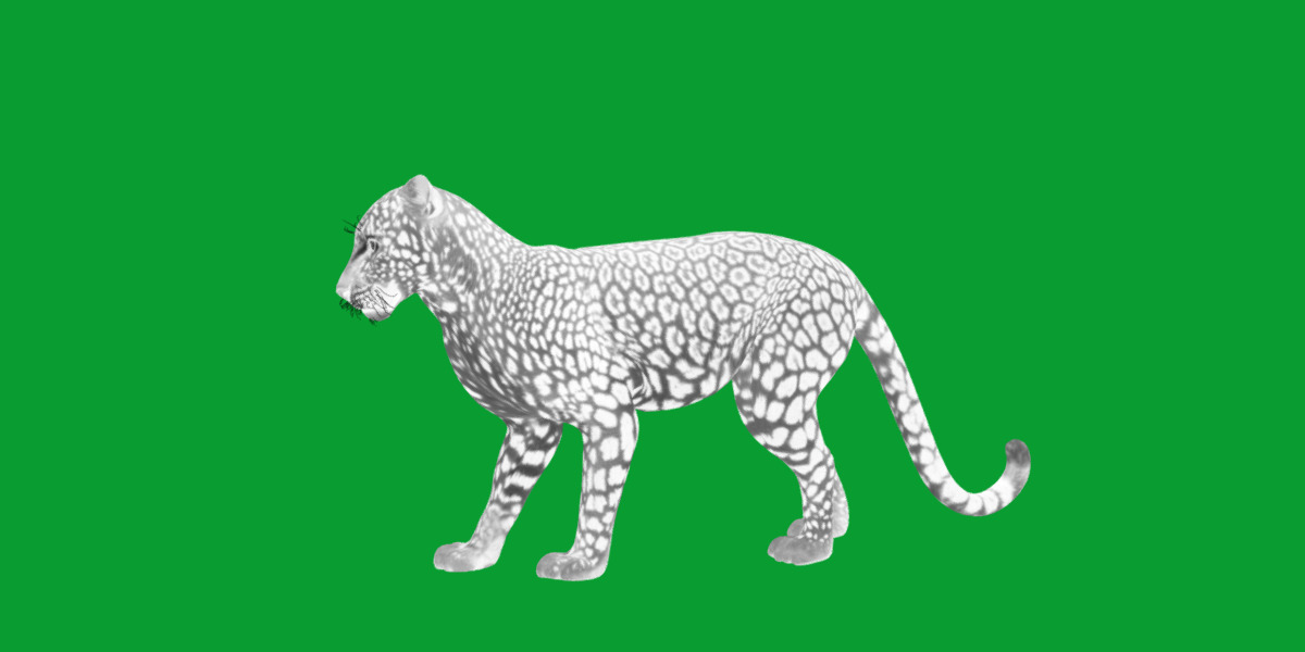 African  Leopard Low-poly 3D model_3