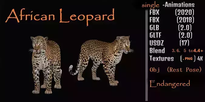 African  Leopard Low-poly 3D model African  Leopard Low-poly 3D model