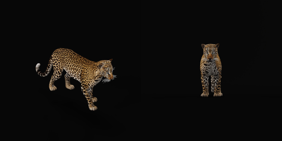 African  Leopard Low-poly 3D model_14