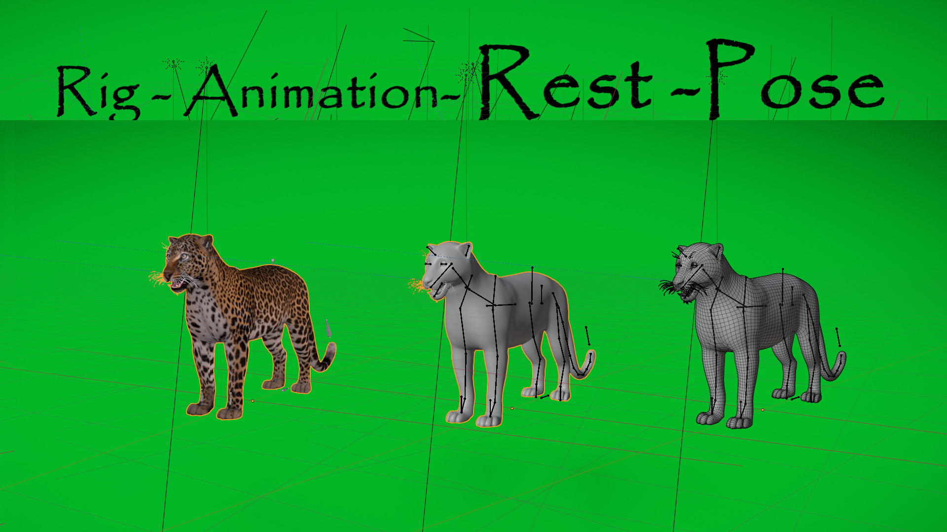 African  Leopard Low-poly 3D model_50