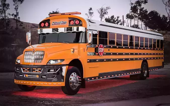 International School Bus Custom