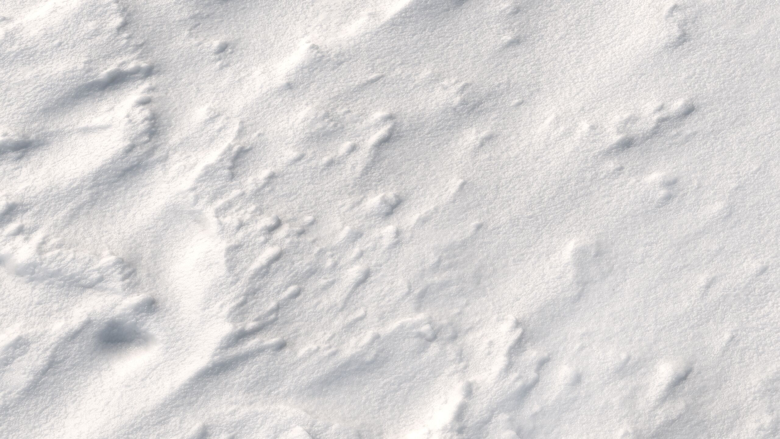 Snow 09 PBR Low-poly 3D model_1