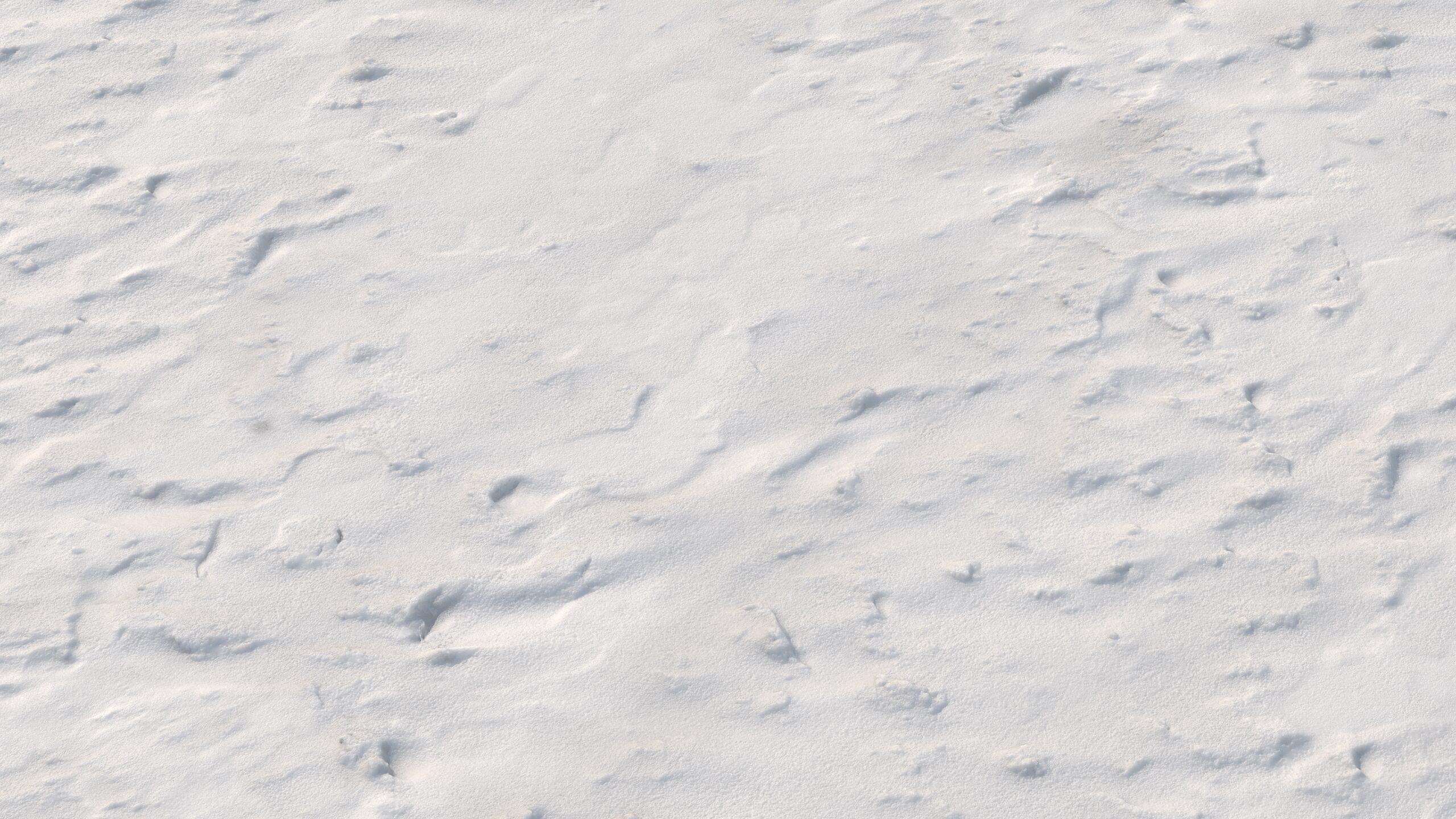 Snow 09 PBR Low-poly 3D model_8