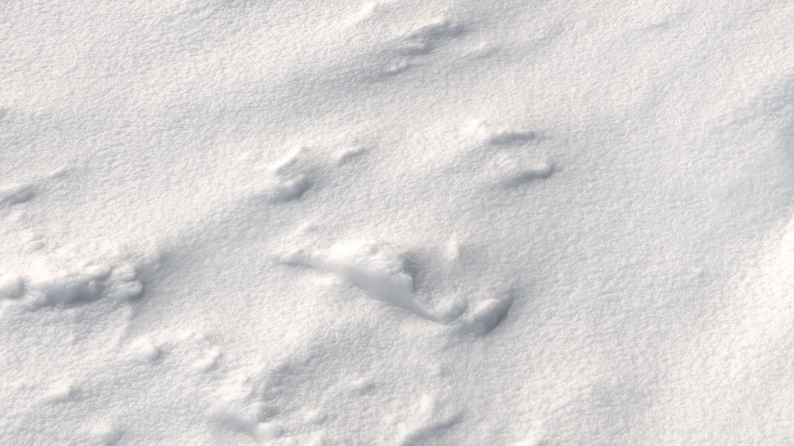 Snow 09 PBR Low-poly 3D model_11